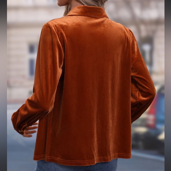 Luxe Velvet Button Down Shirt Top Blouse Rust - Picture 4 of 17